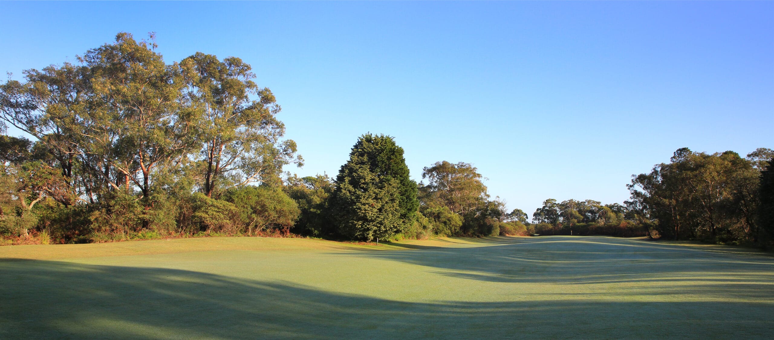 ForsterTuncurry_10FWPano_6951